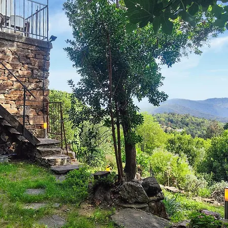 Σπίτι διακοπών Grande Maison De Village Saint-Vincent (Herault)